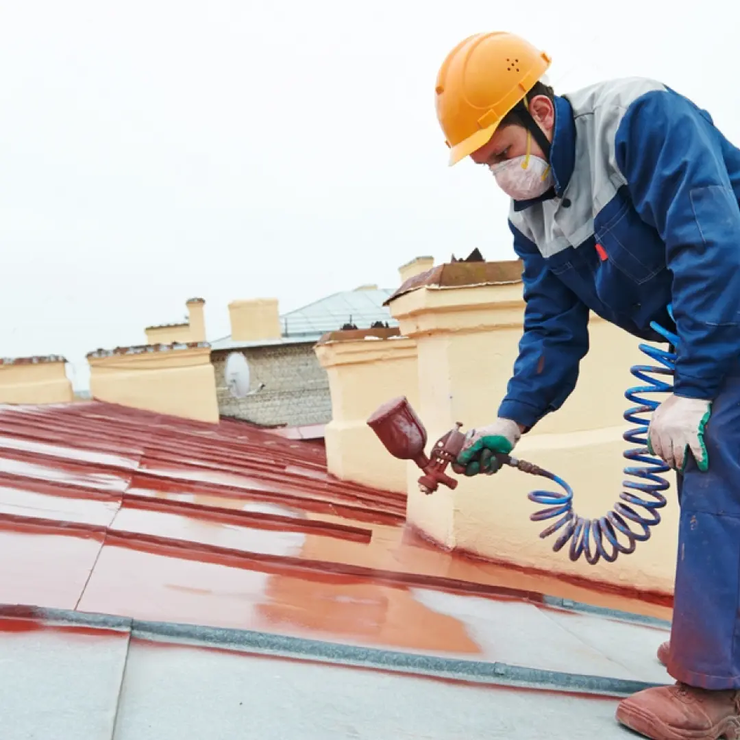 APEX PAINTERS 1080 (4) (1)
